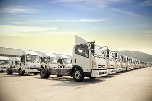 榆林全城貨物運(yùn)輸接單 行李托運(yùn) 全國整車零擔(dān)