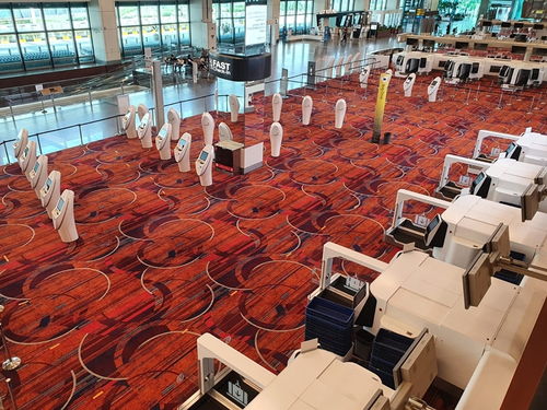 酷航積極強化防疫措施 全力保障旅客和機組人員健康出行