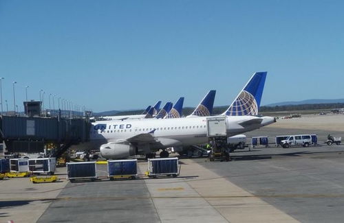 近49億美元 美國(guó)航司靠行李托運(yùn)居然賺了這么多