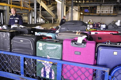 行李超重5公斤收費(fèi)1807元 省錢 小竅門 來了